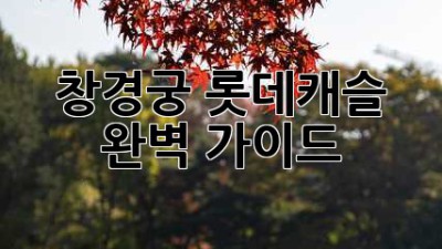 창경궁 롯데캐슬: 완벽 가이드